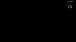 预览图10