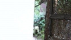 预览图6