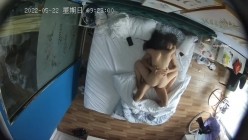 预览图4