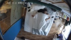 预览图11