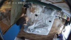 预览图14