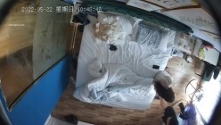 预览图15