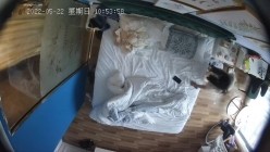预览图16
