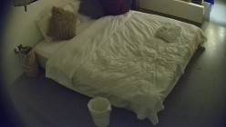 预览图5