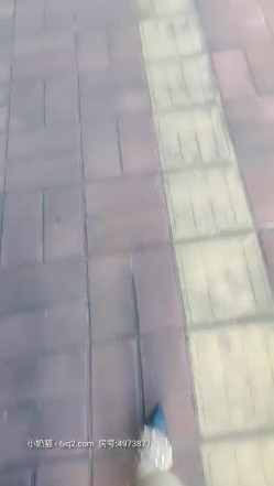 预览图8