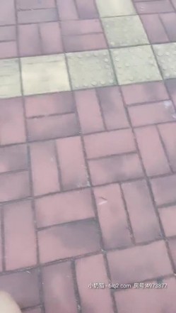 预览图13