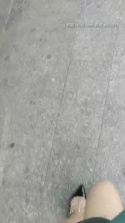 预览图14