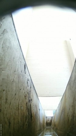 预览图6