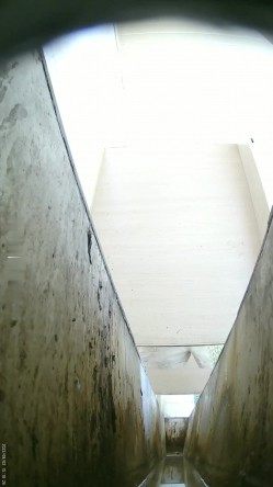 预览图8