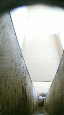 预览图12