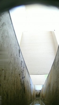 预览图13