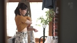 预览图16