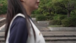 预览图4