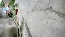 预览图4