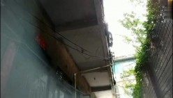 预览图9