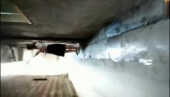 预览图12