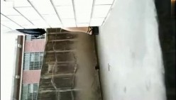 预览图13
