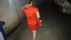 预览图4