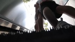 预览图15