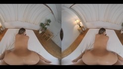 预览图14