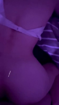 预览图4