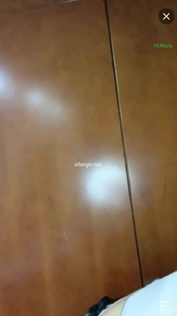 预览图4