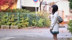 预览图4