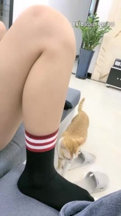预览图2
