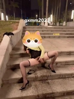预览图14