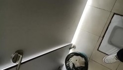 预览图4