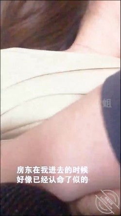 预览图4