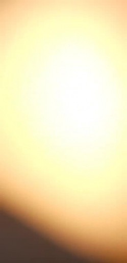 预览图11