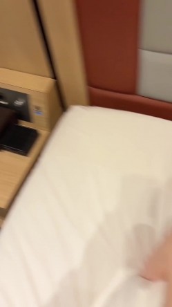 预览图9