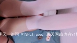 预览图14