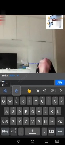 预览图10