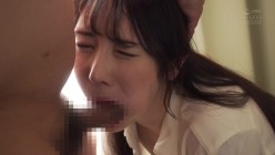 预览图6