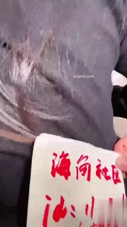 预览图14