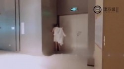 预览图8