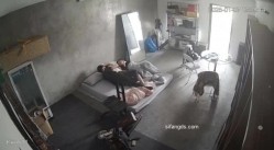 预览图2