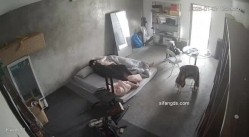 预览图5