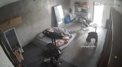 预览图7