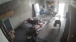 预览图8
