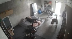 预览图9