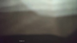预览图10