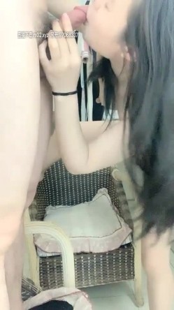 预览图8