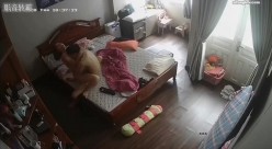 预览图4
