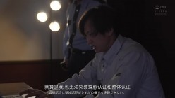 预览图13