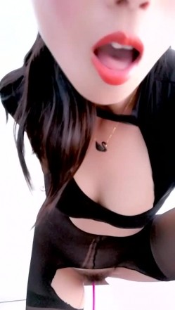 预览图1