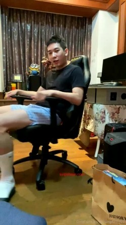 预览图14