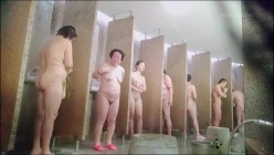 预览图5